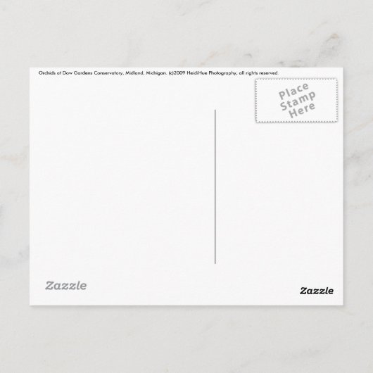 蘭 ポストカード (裏面)