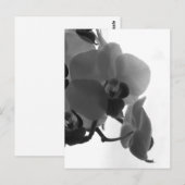 蘭 ポストカード (正面/裏面)