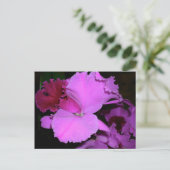 蘭 ポストカード (スタンド正面)