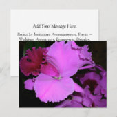 蘭 ポストカード (正面/裏面)