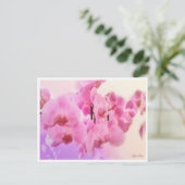 蘭 ポストカード (スタンド正面)