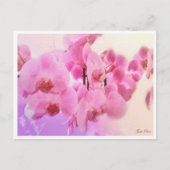 蘭 ポストカード (正面)