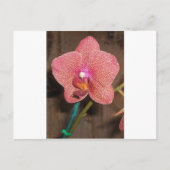 蘭 ポストカード (正面)