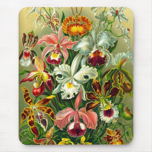 蘭 マウスパッド (正面)