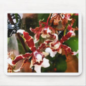 蘭 マウスパッド (正面)