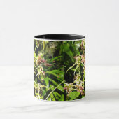 蘭 マグカップ (中央)