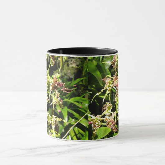 蘭 マグカップ (中央)