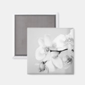 蘭 マグネット (正面/裏面)