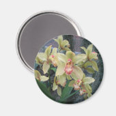 蘭 マグネット (正面/裏面)