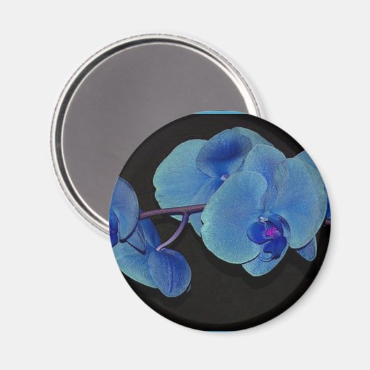 蘭 マグネット (正面/裏面)