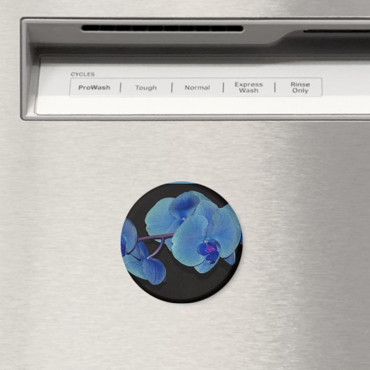 蘭 マグネット (インサイチュ (食洗機))