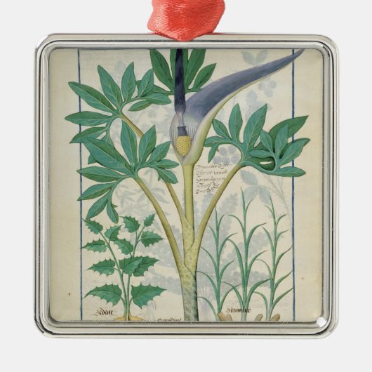 蘭 メタルオーナメント (正面)