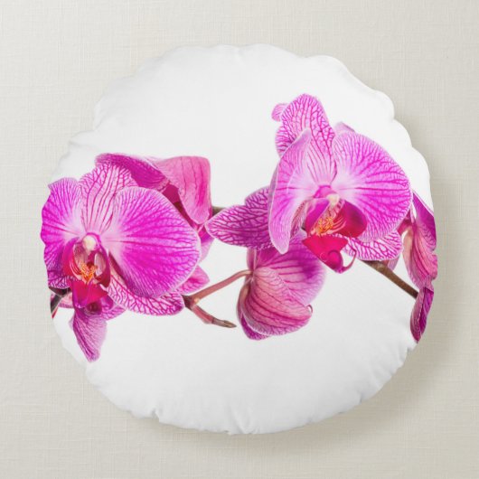 蘭 ラウンドクッション (正面)