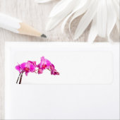 蘭 ラベル (インサイチュ)