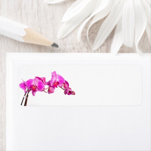 蘭 ラベル (インサイチュ)