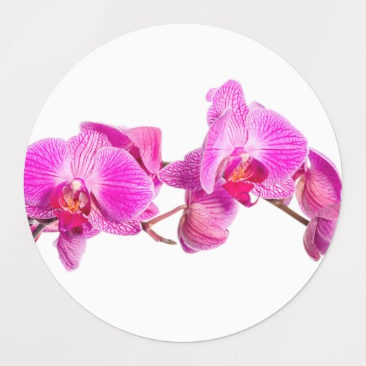 蘭 ラベル (デザイン2)