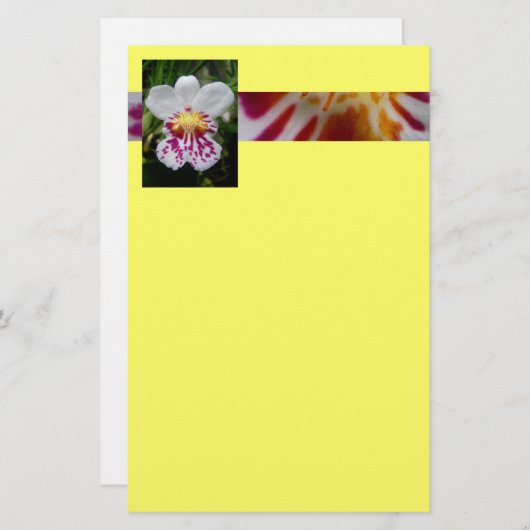 蘭 便箋 (正面/裏面)