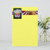 蘭 便箋 (スタンド正面)