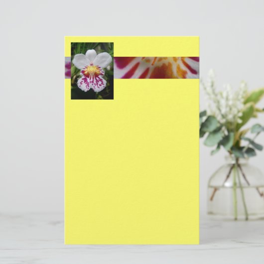 蘭 便箋 (スタンド正面)