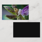 蘭 • 個人事業カード 名刺 (正面/裏面)