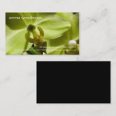 蘭 • 個人事業カード 名刺 (正面/裏面)