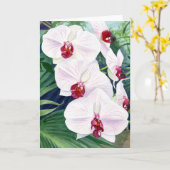 蘭、挨拶状 カード (黄色い花)