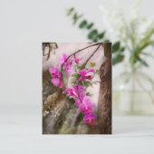 蘭 – 熱帯熱の情熱 ポストカード (スタンド正面)