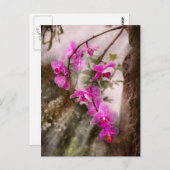 蘭 – 熱帯熱の情熱 ポストカード (正面/裏面)