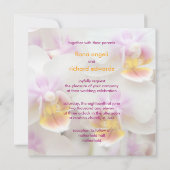 蘭·結婚式招待状 招待状 (裏面)