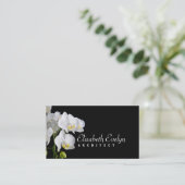 蘭 – 花hy6767 名刺 (スタンド正面)