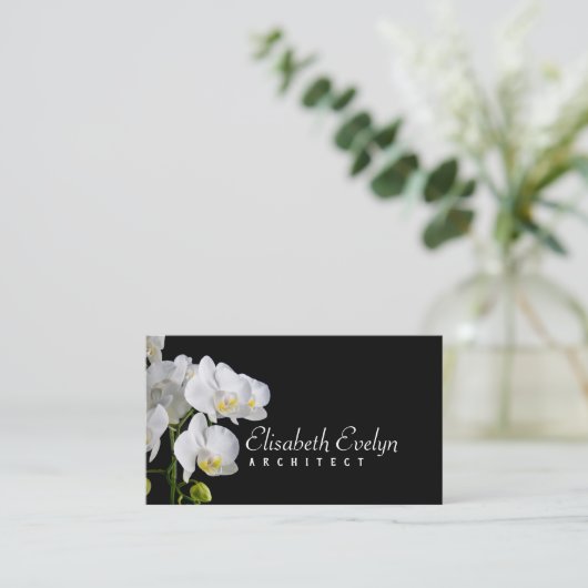 蘭 – 花hy6767 名刺 (スタンド正面)