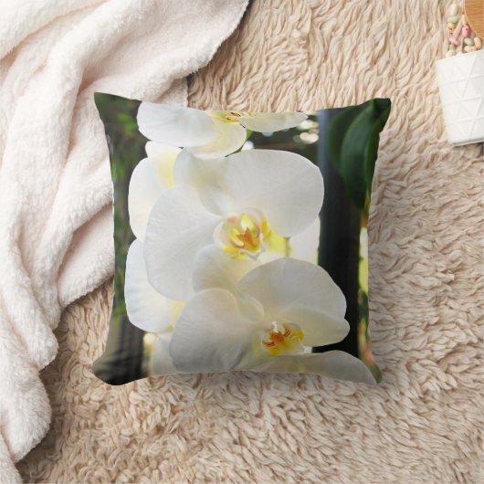 蘭#9 クッション (ブランケット)