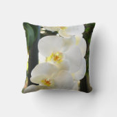 蘭#9 クッション (裏面)