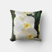 蘭#9 クッション (正面)