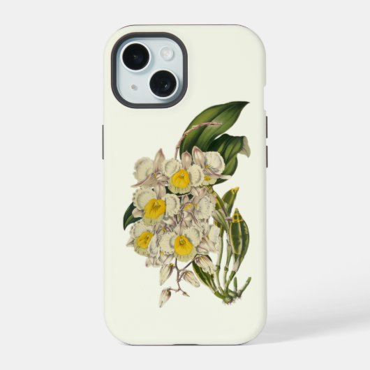 蘭 iPhone 15ケース (裏面)