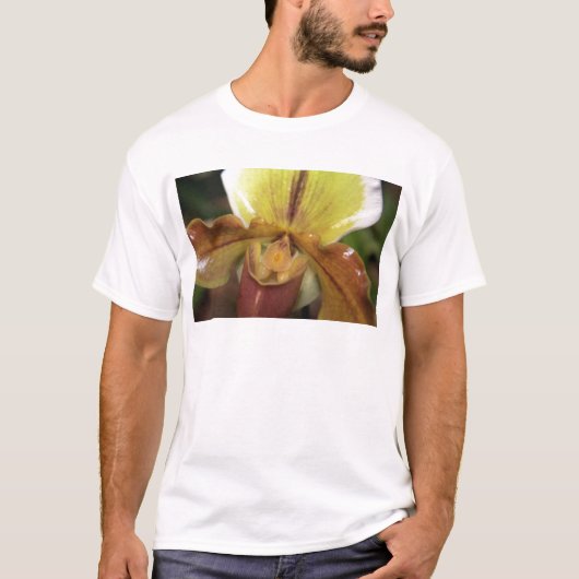 蘭 Tシャツ (正面)