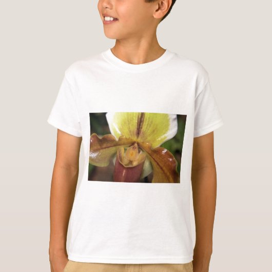 蘭 Tシャツ (正面)