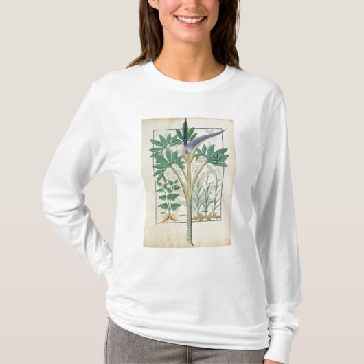 蘭 Tシャツ (正面)