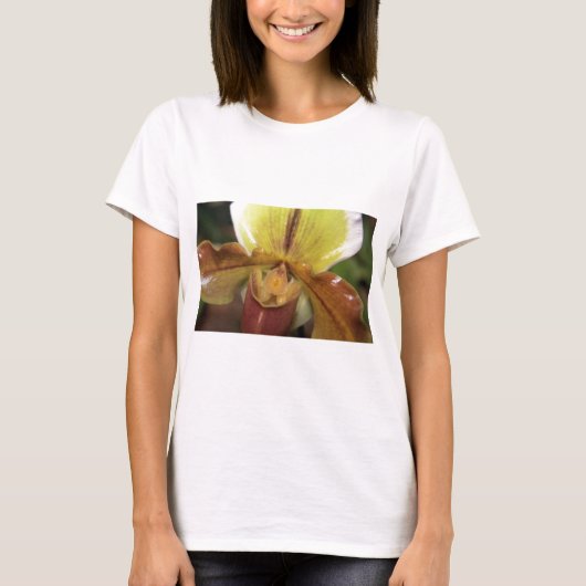 蘭 Tシャツ (正面)