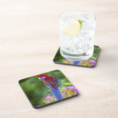 蘭Lamingtonの深紅色のRosella及び背景幕 コースター (右側)