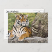 虎と仏教寺院 ポストカード (正面/裏面)