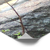 虎と子の愛 ポスター (角)