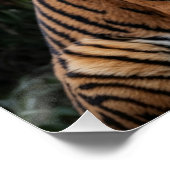 虎と神殿 ポスター (コーナー)