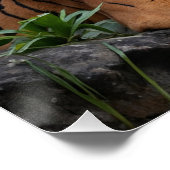 虎と神殿 ポスター (コーナー)