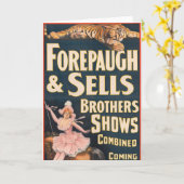 虎と馬に乗った女性のサーカスのポスター カード (黄色い花)