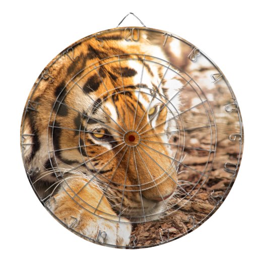 虎の休息 ダーツボード (正面)