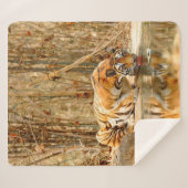 虎の反射 シェルパブランケット (正面(横))