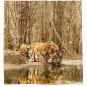 虎の反射 シャワーカーテン (正面)