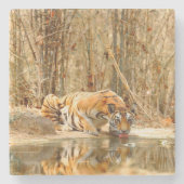 虎の反射 ストーンコースター (正面)