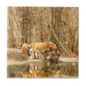 虎の反射 タイル (正面)